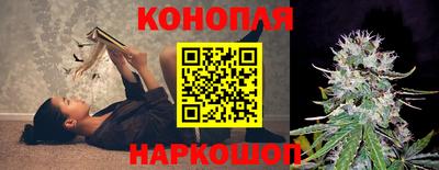 сатива Комсомольск-на-Амуре