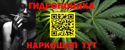 шишки Конаково