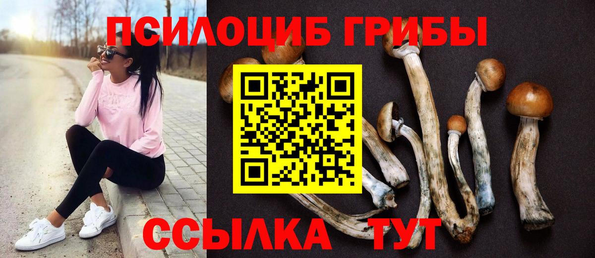 закладка  Вход с VPN  Кизилюрт  Галлюциногенные грибы Psilocybe  Галлюциногенные грибы мухоморы 